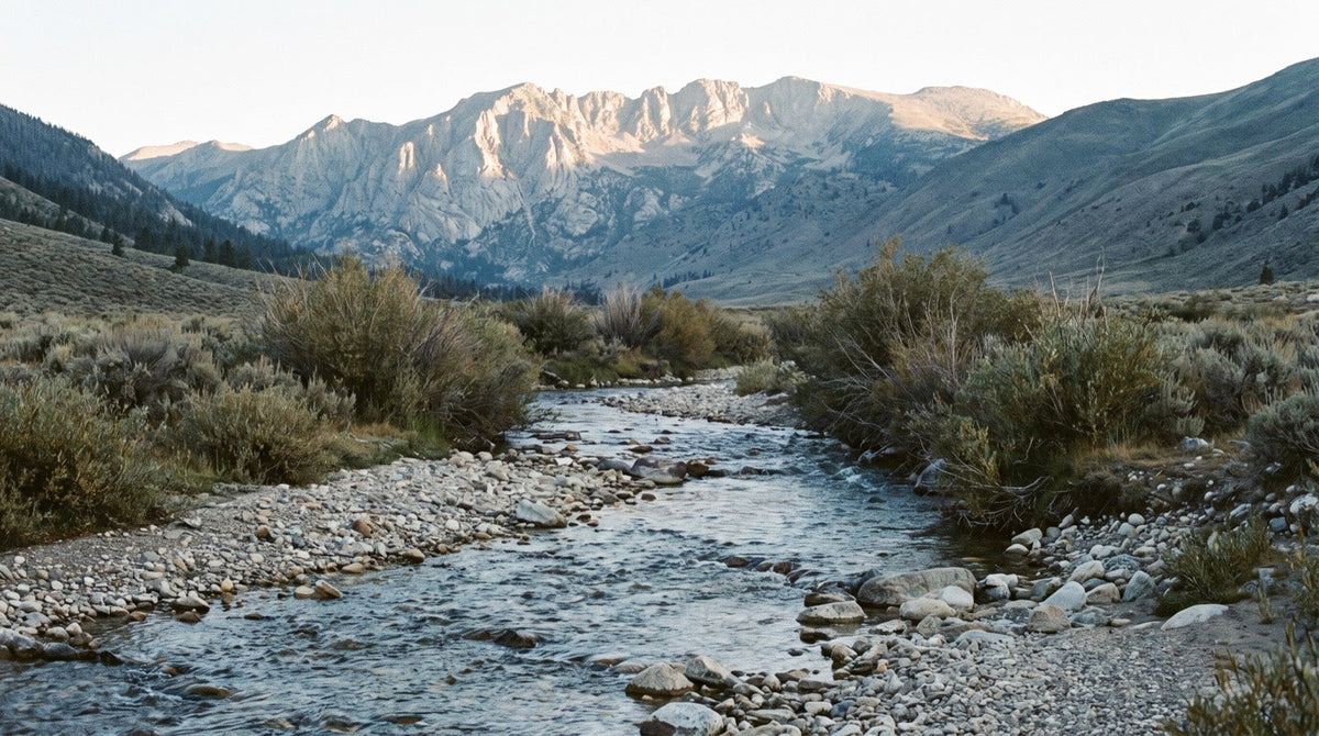 High-country Rocky Mountain headwater creek at first light, running over pale cobble with sage banks and a granite ridge catching early sun