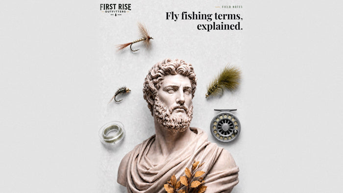 Marble bust surrounded by a dry fly, nymph, streamer, tippet spool, and fly reel, with the headline Fly fishing terms, explained